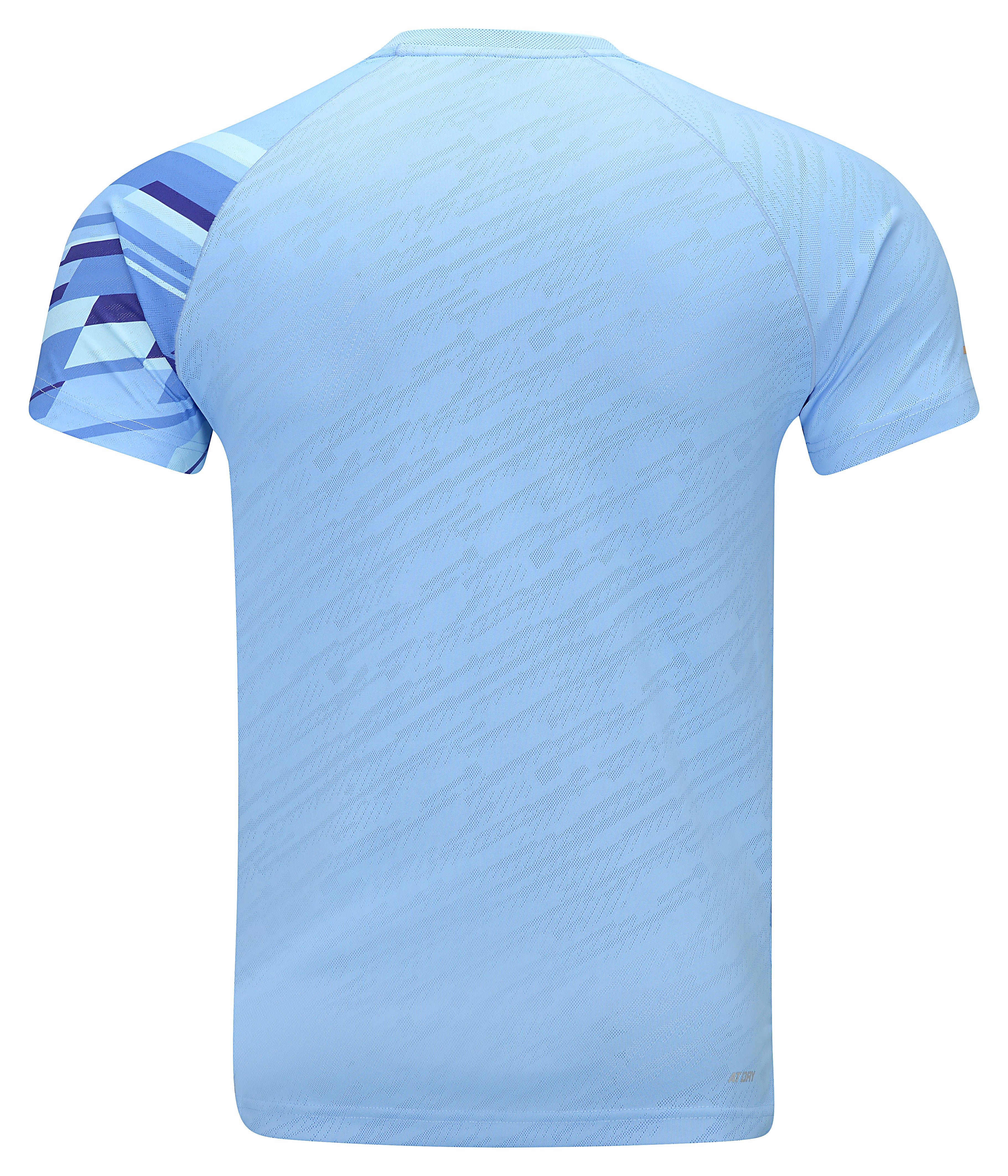 Herren Wettkampfshirt "International Teams Power" - hellblau - AAYU223-3